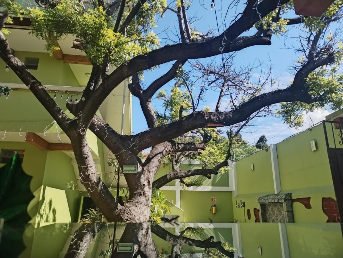 Los Ciruelos Oaxaca Exterior foto