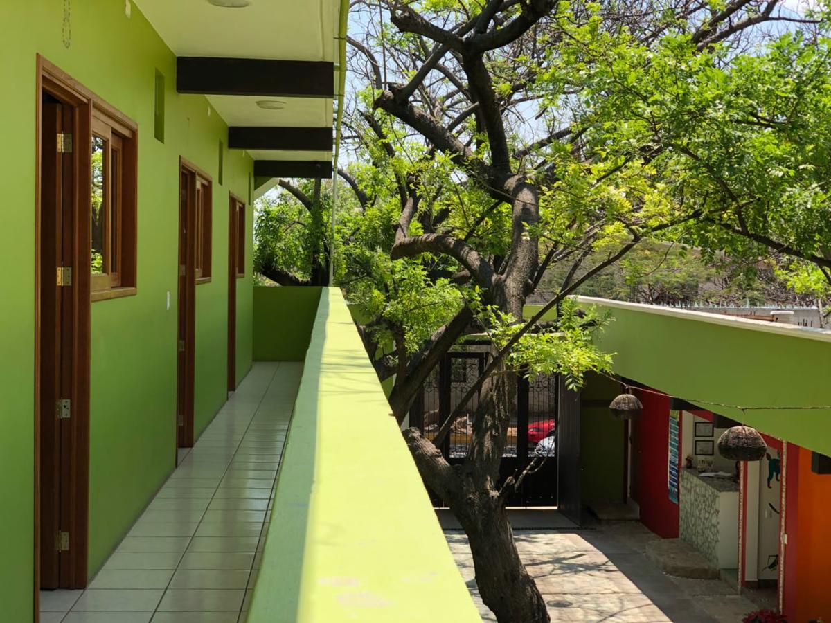 Los Ciruelos Oaxaca Exterior foto