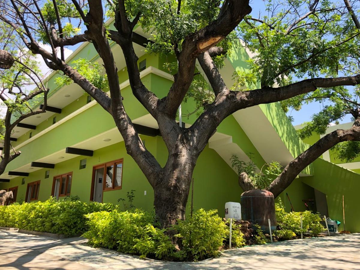 Los Ciruelos Oaxaca Exterior foto